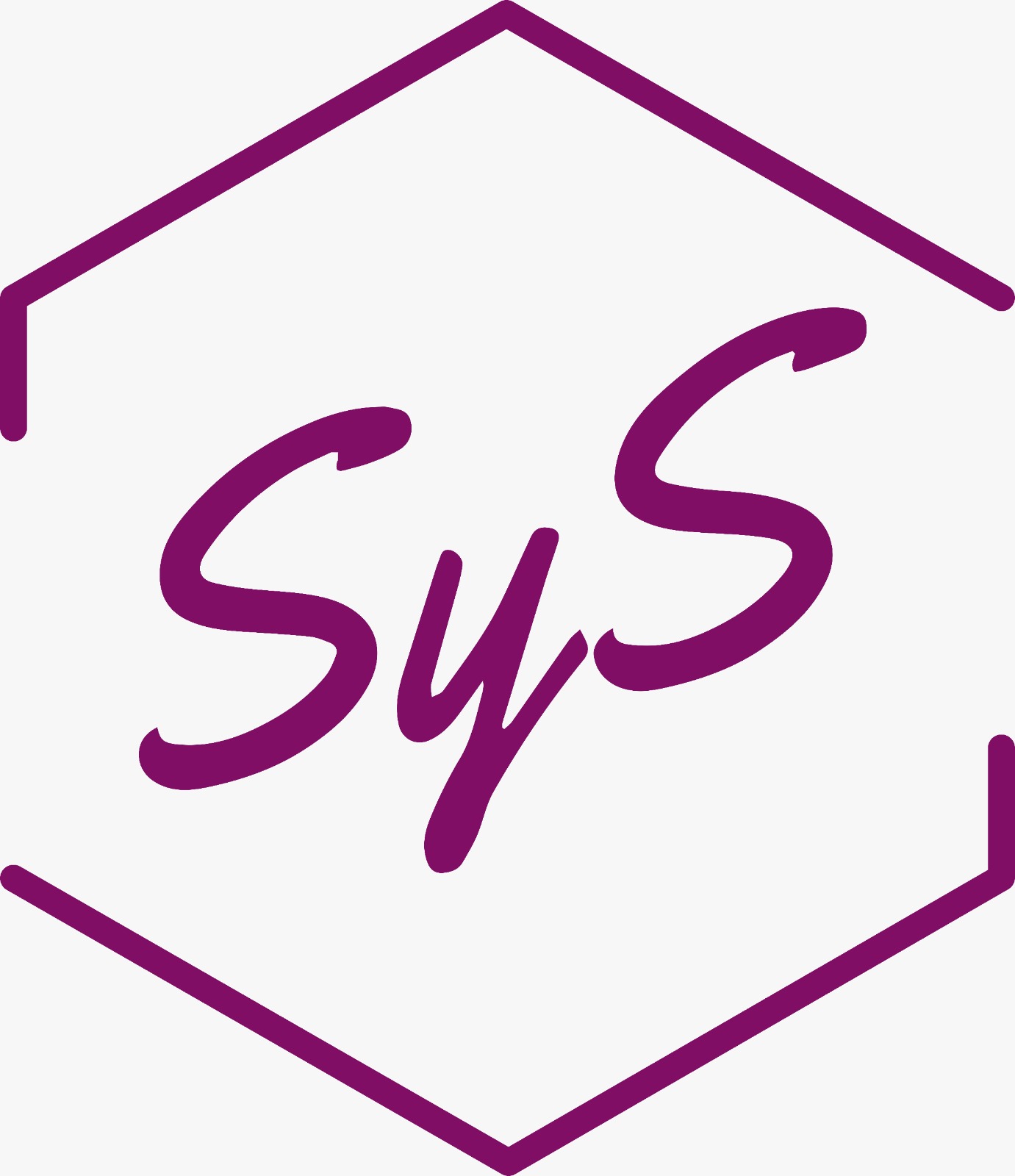 Desarrollo Profesional SyS